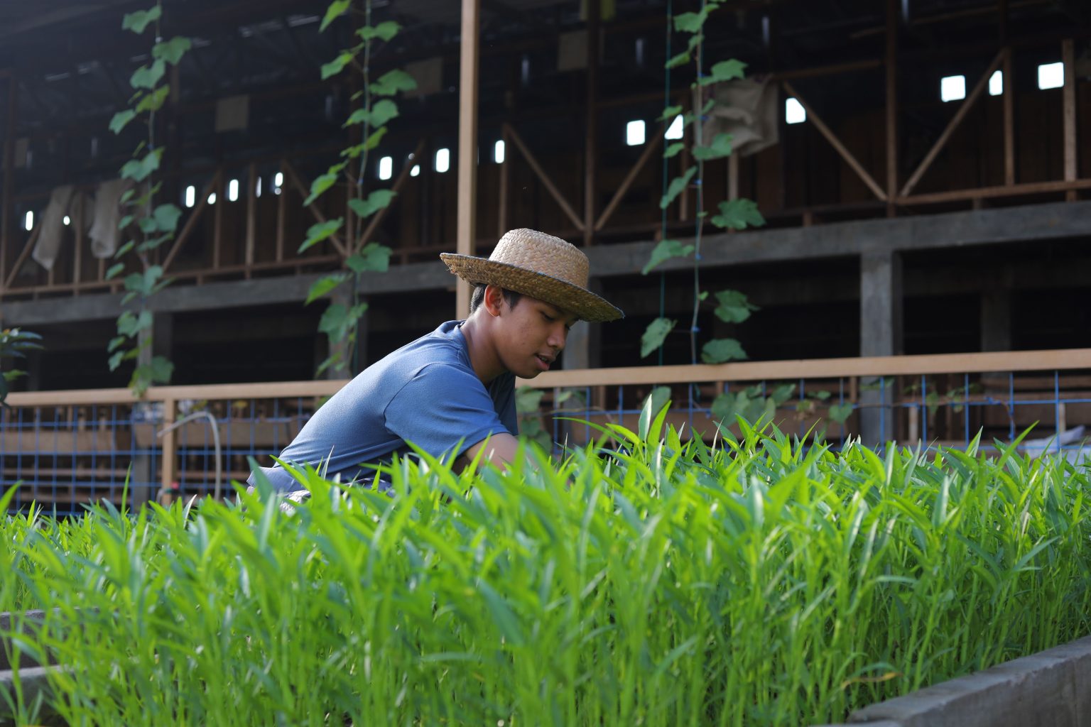 Farm work jobs abroad in 2026/2027